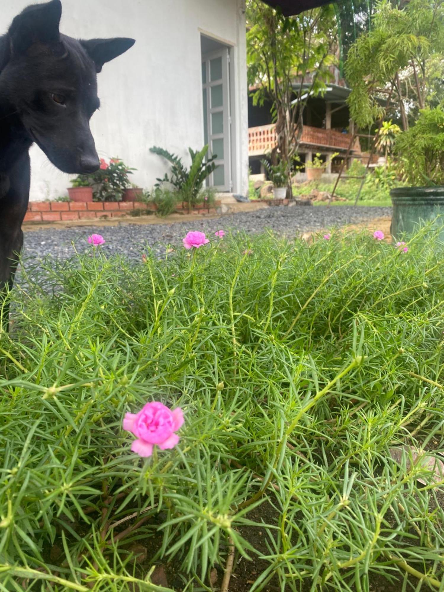 Homestay Tay Xa Trang Bom Екстер'єр фото