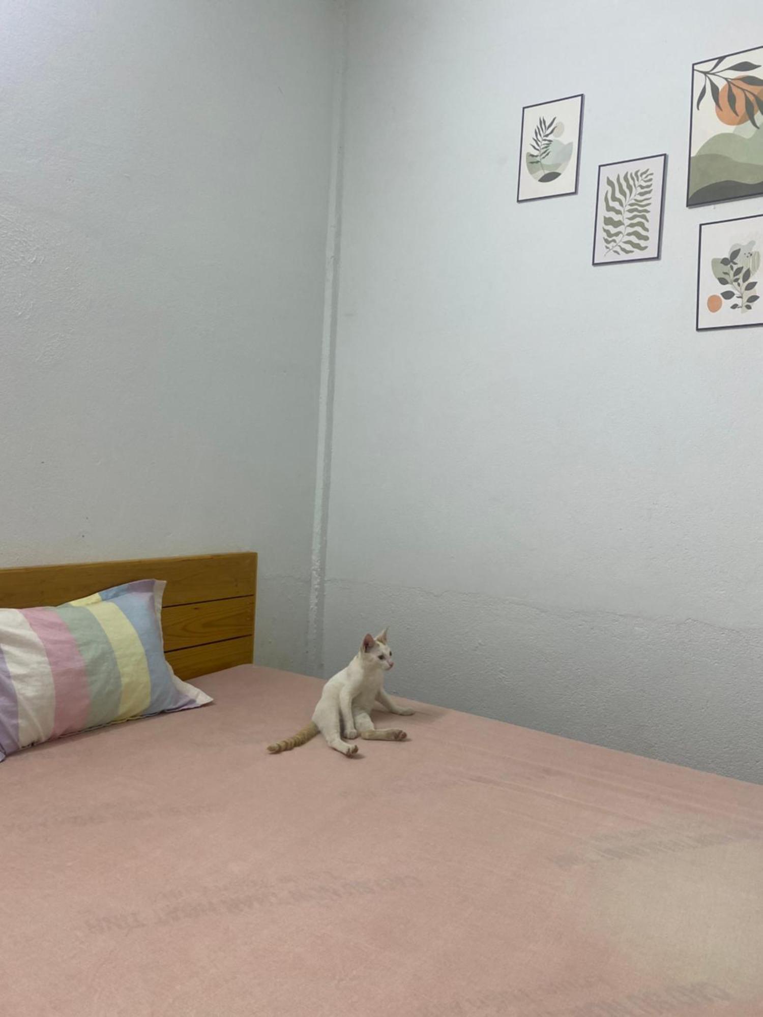 Homestay Tay Xa Trang Bom Екстер'єр фото